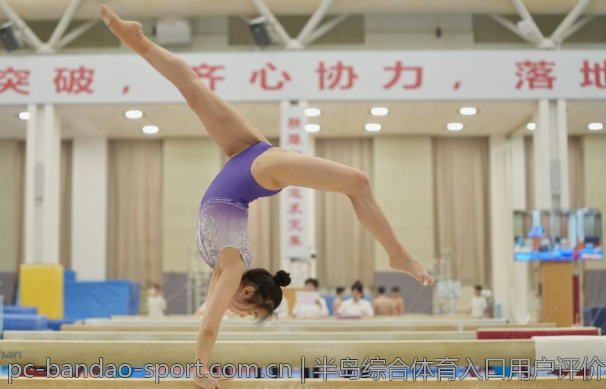 半岛综合体育入口用户评价与反馈