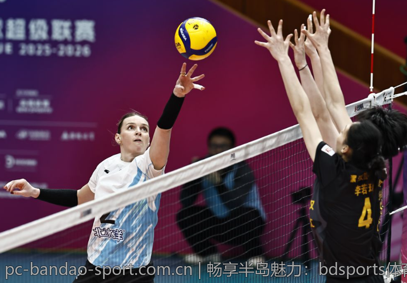 畅享半岛魅力：bdsports体育全面指南
